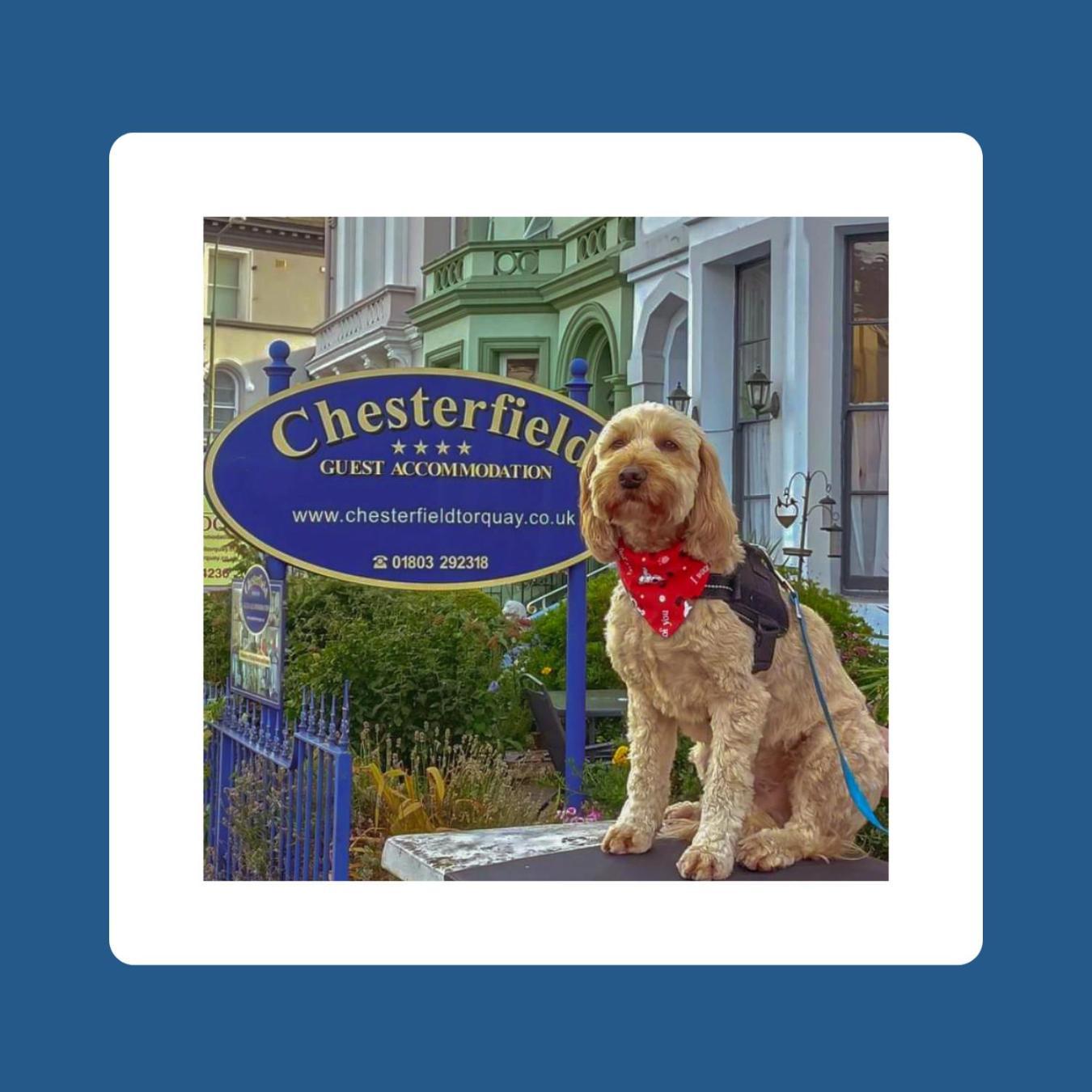 The Chesterfield, Torquay (Adults Only) ภายนอก รูปภาพ